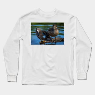 Blue-winged Teal Pair - Dabbling Ducks Long Sleeve T-Shirt